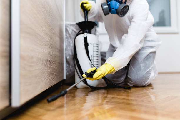 Best Rat Extermination Near Me  in Marysville, WA