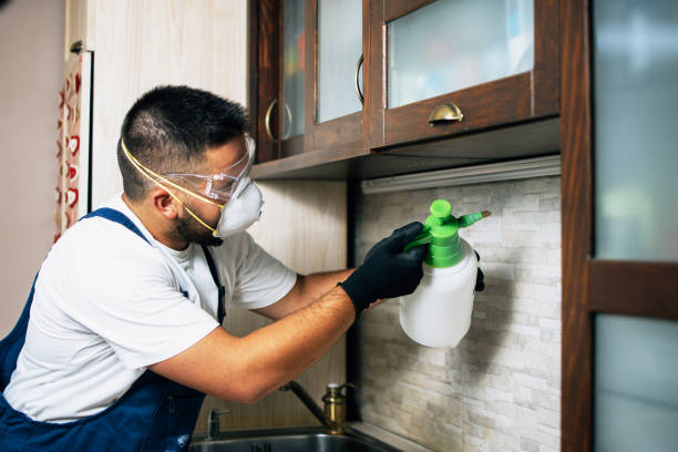 Best Pest Control Treatment  in Marysville, WA