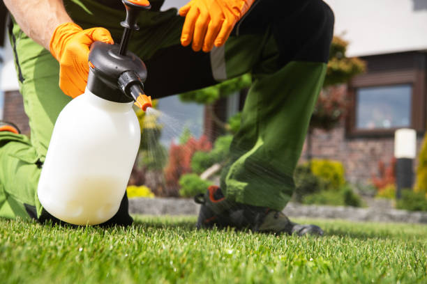 Best Wasp Removal Services  in Marysville, WA