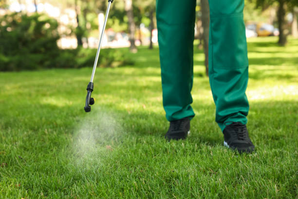 Best Local Pest Control Services  in Marysville, WA