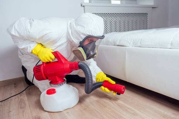 Best Affordable Pest Control Services  in Marysville, WA