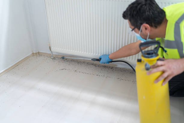 Best Pest Inspection Near Me  in Marysville, WA