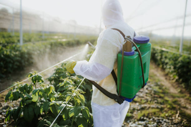 Best Pest Removal Services  in Marysville, WA